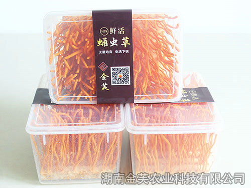 鮮活蛹蟲(chóng)草