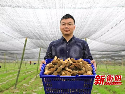 湖南金芙農(nóng)業(yè)科技有限公司,湖南農(nóng)業(yè)科技發(fā)展,蛹蟲(chóng)草,藥用菌 湖南金芙農(nóng)業(yè)科技有限公司,湖南農(nóng)業(yè)科技發(fā)展,蛹蟲(chóng)草,藥用菌